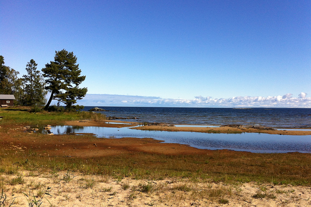 Vy över vatten och strandkant. Foto: Vänerns vattenvårdsförbund.