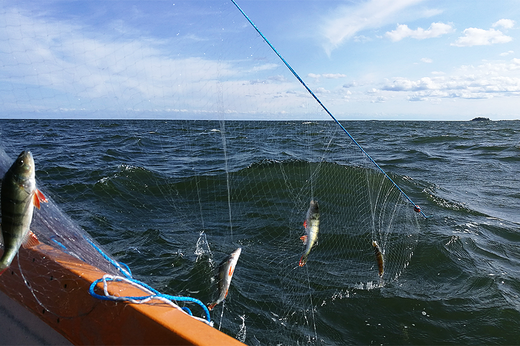 Båt på öppet hav. Fiskar i nät. Foto: Thomas Andersson.
