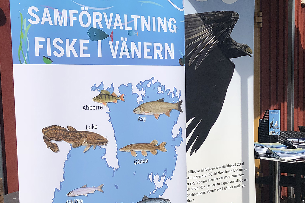 Utställning. Rollup med fiskar. Foto: Vänerns vattenvårdsförbund.