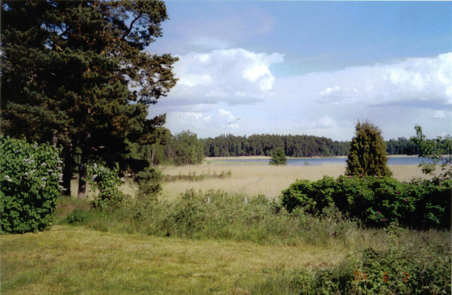 Kalvö_Strandäng 2004