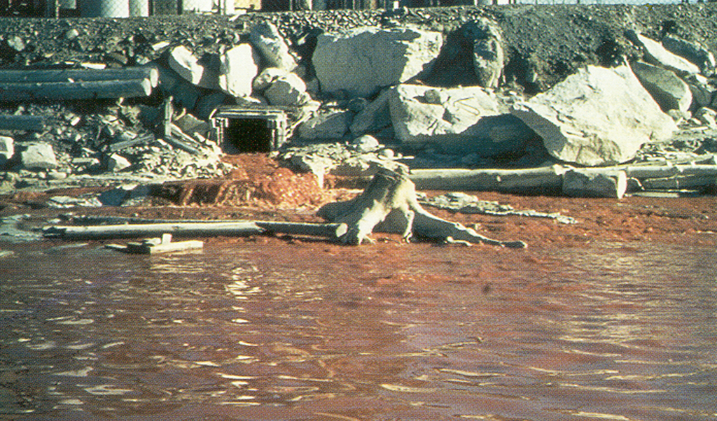 Rött utsläpp i Skogshallsådran vid elektrokemiska fabrikens strand. Rödfärgat vatten. Foto: Hugo Hassel.