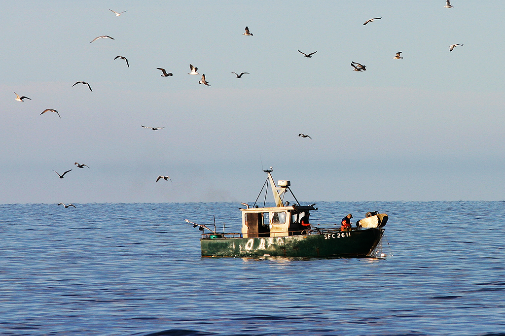 Fiskebåt. Foto: Vänerns vattenvårdsförbund.